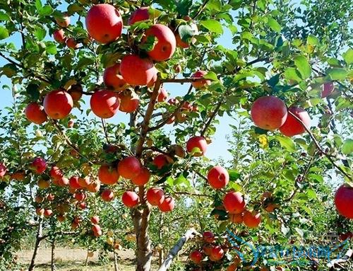 專業(yè)的技術(shù)團(tuán)隊